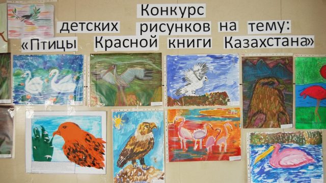 Конкурс детских рисунков на тему: “Птицы красной книги Казахстана”