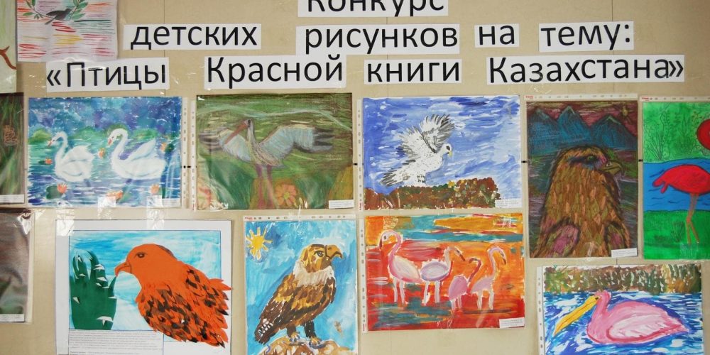 Конкурс детских рисунков на тему: &#8220;Птицы красной книги Казахстана&#8221;